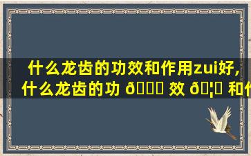 什么龙齿的功效和作用zui
好,什么龙齿的功 🐞 效 🦅 和作用zui
好吃